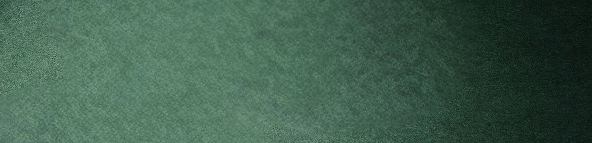 American Swiss Christmas Flash sale banner