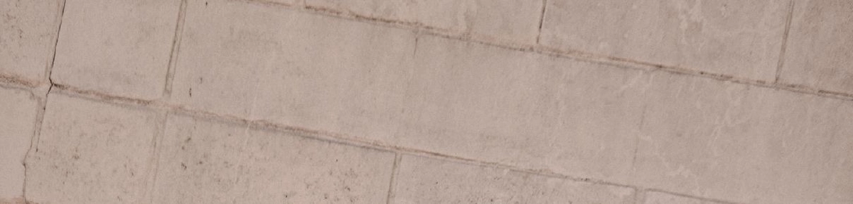 Black Friday background