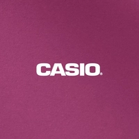 Sterns Casio 