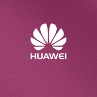 Sterns Huawei