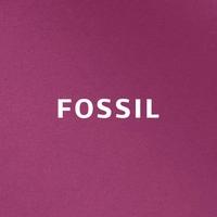 Sterns Fossil