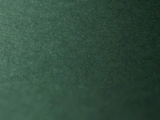 American Swiss Christmas Green Background image