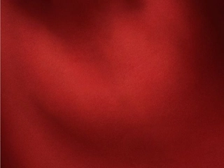 American Swiss Christmas Red Background image