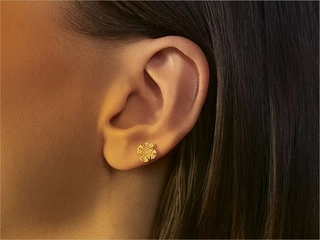 American Swiss Earrings