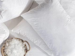 Volpes PIllows