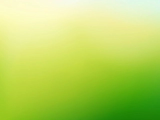 Professional Repair Services