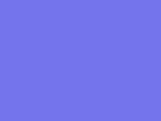 Bash App