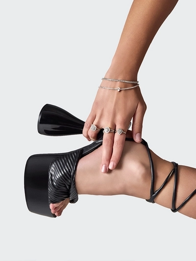 20260206_American_Swiss_Trend_Edit Banner