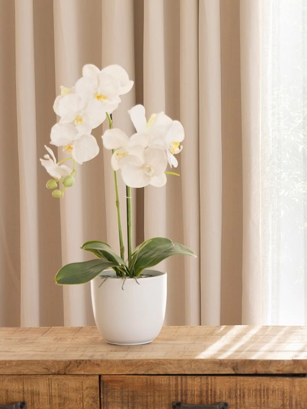 Volpes Blockout Curtains 