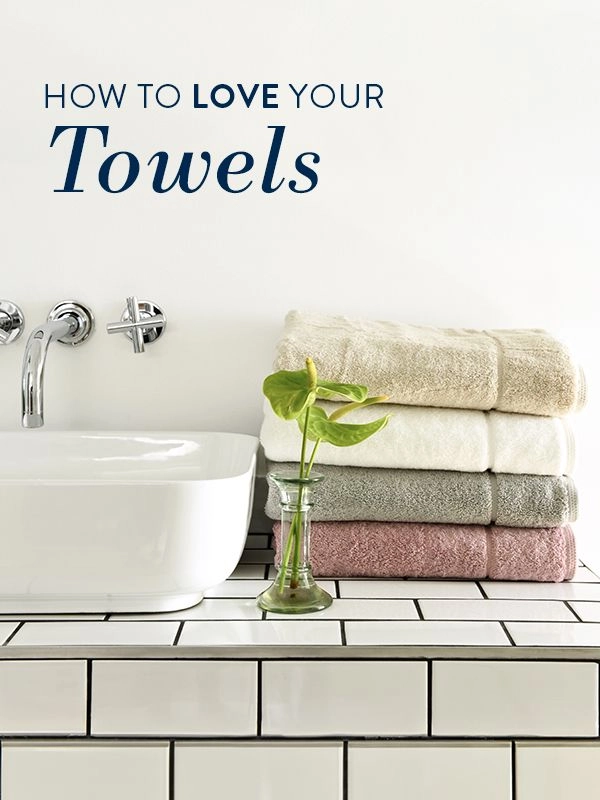 Volpes Blog & Care Guide