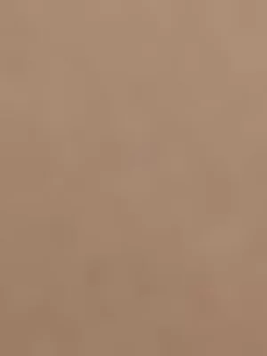 Exact Women's Brown Bodysuit