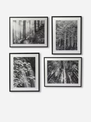 Framed Black & White Photography Set