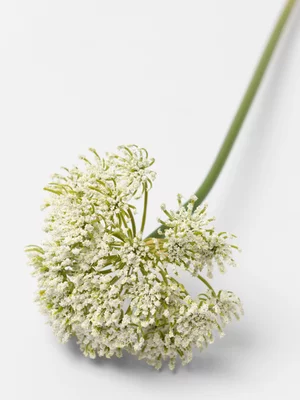 Faux Lace Flower White 62cm