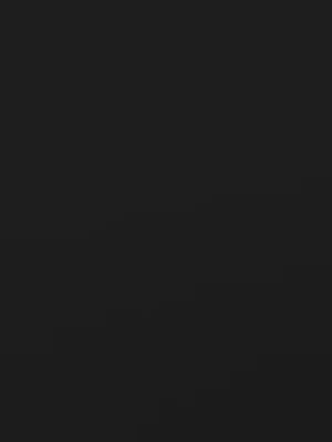 Nike Womens Sportswear Classic 5 Inch Woven Black/White Shorts