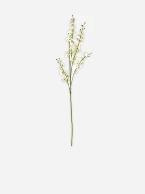Stem Oncidium Flowers White 91cm