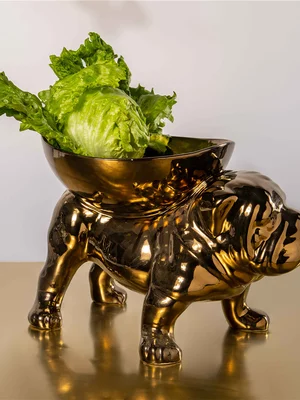 Rialheim Brutus Bull Dog Bronze 27cm