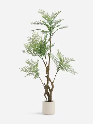 Jet Home Jacaranda Potted Tree