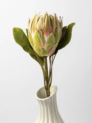 Faux Protea Stem 62.2cm