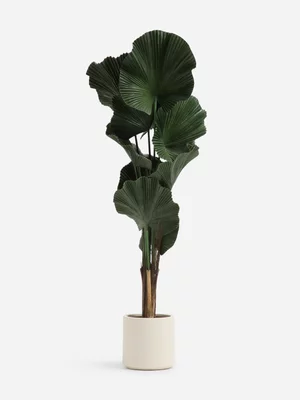 Jet Home Fan Potted Tree