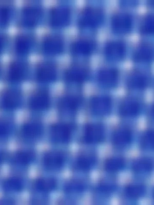 The FIX Women's Blue Cropped Shirt With Waist Ties