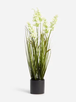 Jet Home White Flowers Yucca In Black Ceramic Pot