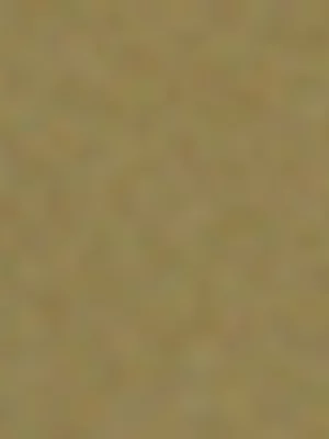 Puma Junior Grade-School Poolcat Focus ZADP Olive Slides 