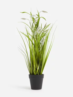 Jet Home Grass Wheat Setaria Pot Plant 