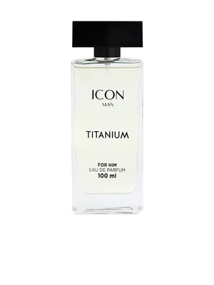 American Swiss Icon Titanium For Him Eau De Parfum 100ml