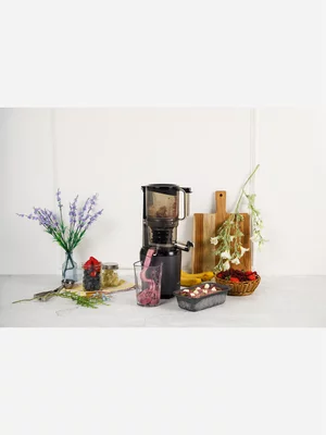 Kuvings Auto 6 Whole Slow Juicer Black