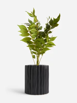 Jet Home Black Ceramic Pot Curry Leaf 