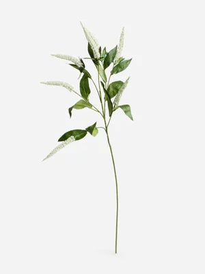 Jet Home White Salvia Spray