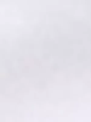 Redbat Men's Gourmet Flock White T-Shirt