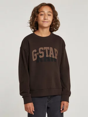 Kids G-star  Brown Sweater