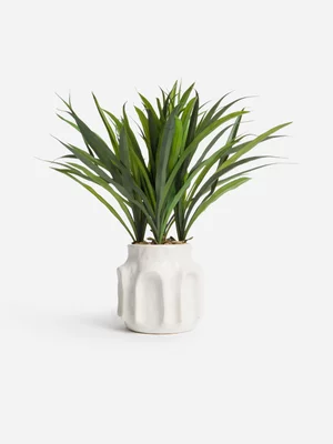 Jet Home White Ceramic Plant