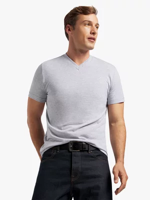 Markham Men's V-Neck T-Shirt