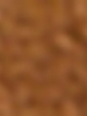 The FIX Women's Brown Tan Lace Up Open Back Mule 