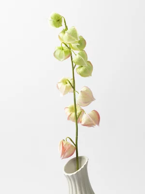 Faux Cape Gooseberry Flower Spray Pink79cm