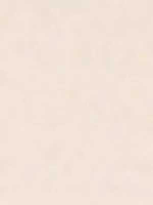 Exact Women's Natural Soft Touch Fleece Shorts 