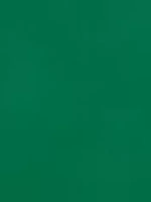 Mens Havaianas Top Green Flip Flops