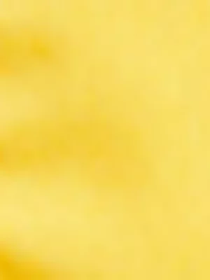 Jet Kids Gold Short Sleeve School Shirt