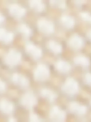 Luella Canvas Flatforms