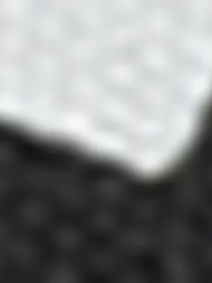 Women's Tomy Cresida Canvas Black/White Sneaker