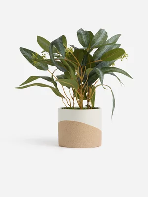 Jet Home Large Olive Leaf Tan Ceramic Pot