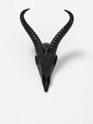 Rialheim Springbok Wall Skull Black