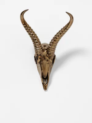 Rialheim Springbok Wall Skull Bronze