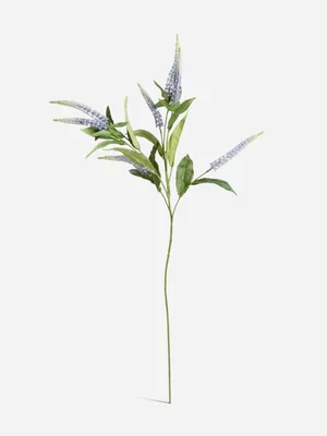 Jet Home Purple Salvia Spray