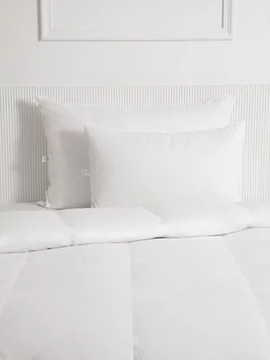 Everynight Goose Feather & Down Four Season Duvet Inner