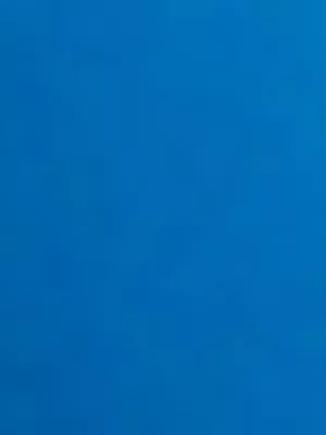 Swimwear Bikini Bottom