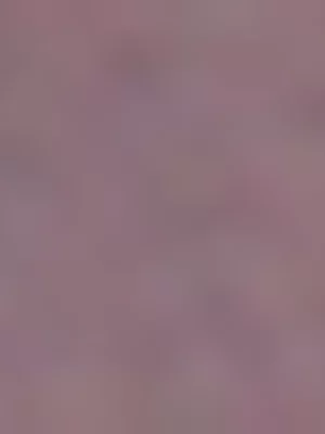 Women's Puma Essential Purple/Gold Tee