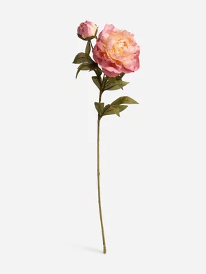 Jet Home Pink Peony Spray